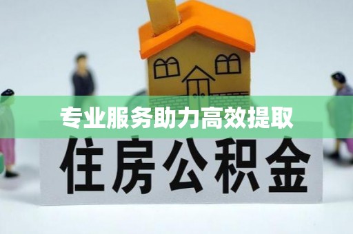 郊区专业服务助力高效提取